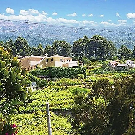 Finca Lizzy Villa Icod De Los Vinos